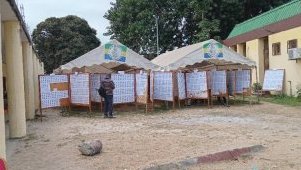 Législatives et locales 2025 : irrégularités et confusion persistent malgré les correctifs