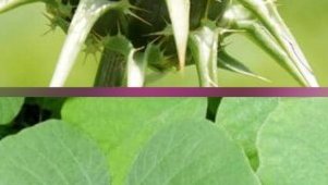 Les dangers de l’alcool et des drogues&nbsp;: un enjeu de santé publique