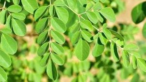 Rétention d’eau&nbsp;: pourquoi vos pieds gonflent après avoir bu de l’eau