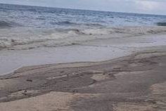 Alerte à Mayumba : la pollution refait surface sur les plages