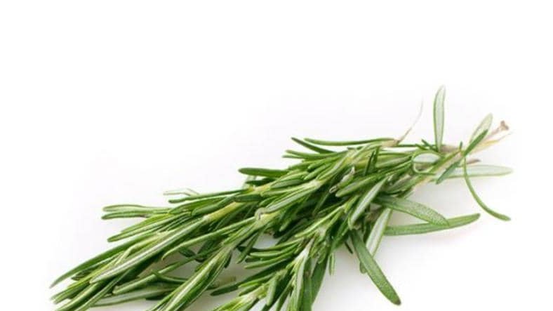 Troubles de la mémoire : un fléau mondial largement sous-estimé