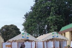 Législatives et locales 2025 : irrégularités et confusion persistent malgré les correctifs