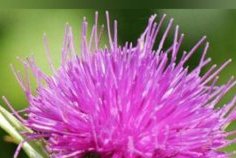 Les dangers de l’alcool et des drogues&nbsp;: un enjeu de santé publique