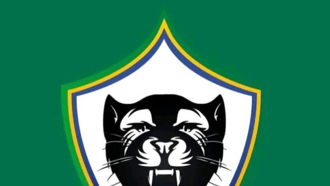 Football/ Panthères&nbsp;: le nom du nouveau sélectionneur attendu le 28 février