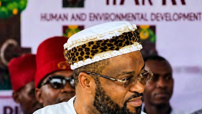 Justice&nbsp;:  Après ses déclarations sur un coup d’État,  Junior Xavier Ndong-Ndong sort de prison 