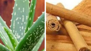 Le diabète, une maladie en pleine expansion : la phytothérapie comme alliée