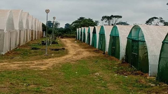 SAEG-AGROPAG&nbsp;: 826 millions de FCFA d’impayés, la terre attend, les salaires aussi