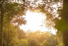 Croissance et écologie : le Gabon mise sur un avenir durable