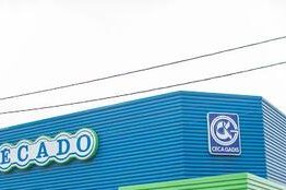 Ceca-Gadis ferme des dizaines de magasins pour éviter la faillite