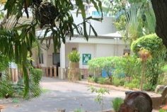 Culture / Le Gabon accueille la 4ᵉ édition du Festival International des Beaux-Arts