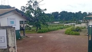 Agriculture/ IGAD&nbsp;: une réforme stratégique portée par la nouvelle gouvernance