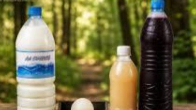 Sécurité Alimentaire&nbsp;: lait caillé, bissap ,  glaces en sachet, gingembre interdits au Gabon