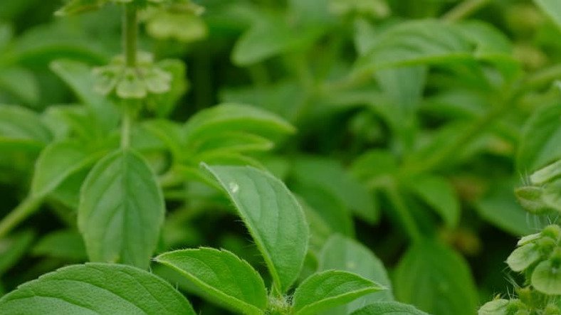 « Je ne mange pas sucré… et pourtant ma glycémie explose »