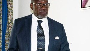Gabon : Francis Hubert Aubame (PSE) dénonce « un processus électoral biaisé et sous contrôle du pouvoir »