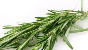 Troubles de la mémoire : un fléau mondial largement sous-estimé