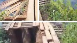 Meyokyé–Mebogho&nbsp;: le tronçon stratégique coupé, les populations en alerte