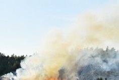 Santé publique : plus de 200 tonnes de PCB identifiées sur le site de Sogara à Port-Gentil