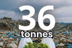 Le ministère de l’Environnement et Clean Africa célèbrent la Journée mondiale sans sacs plastiques