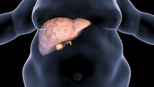 Foie Gras : les signes à ne pas ignorer 