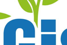 FGIS : des véhicules de l’État utilisés dans un réseau clandestin de location ?