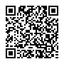 qrcode:Paris-Anne-Hidalgo-decore-Fousseynou-Samba-Cisse-sauveteur-d-une-famille-en.html